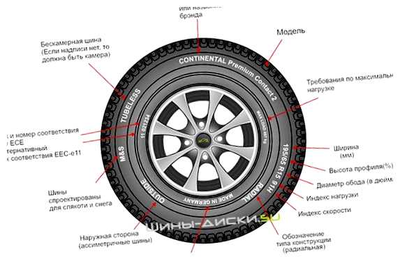 Как посмотреть модель шины